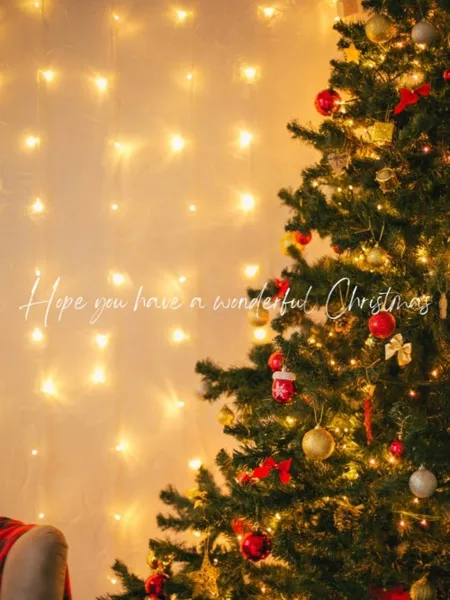 Christmas｜IRIE SPA(アイリースパ)大塚ROOM【東京】大塚・巣鴨メンズエステ