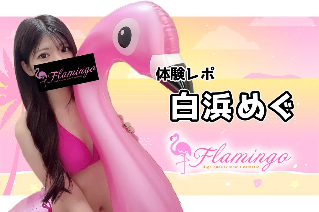 【体験レポ】白浜めぐ~Flamingo(フラミンゴ)王子~